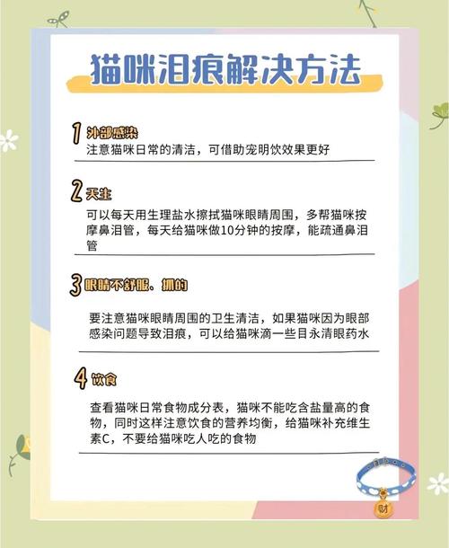 猫咪泪痕严重怎么清洁?专用工具和技巧