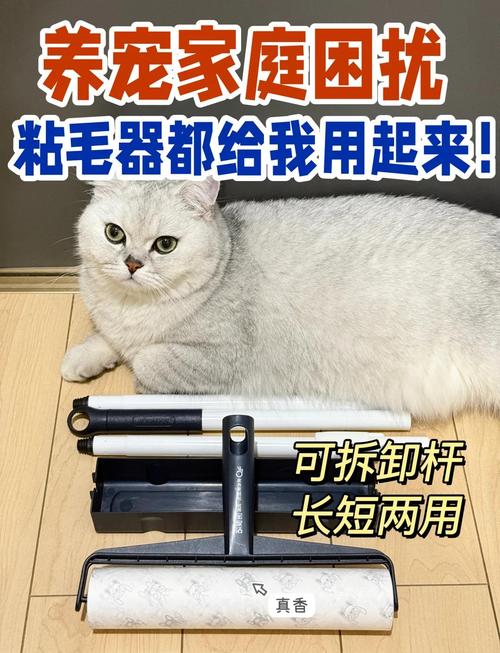 快速去除宠物毛发:养宠家庭必备技巧