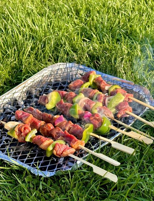 户外烧烤食材准备：肉类腌制、蔬菜串法，保鲜技巧​