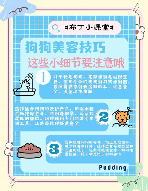 狗狗毛发护理：洗澡频率、梳毛技巧，预防打结​