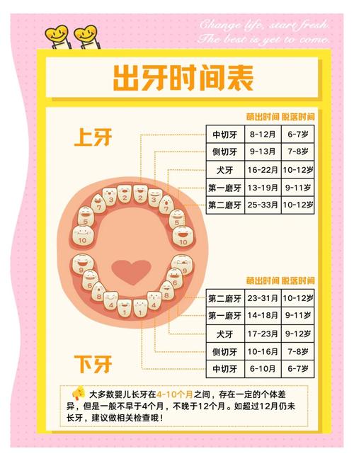 儿童换牙期护理：乳牙不掉怎么办，恒牙萌出要注意啥？​