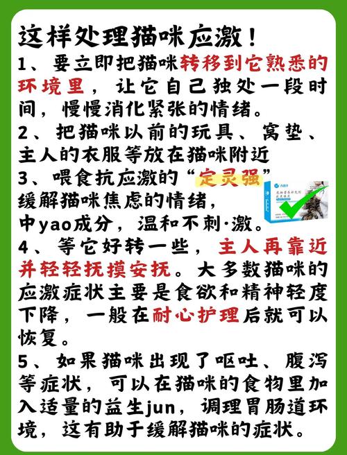 猫咪应激处理：搬家、就医时，缓解应激的方法​