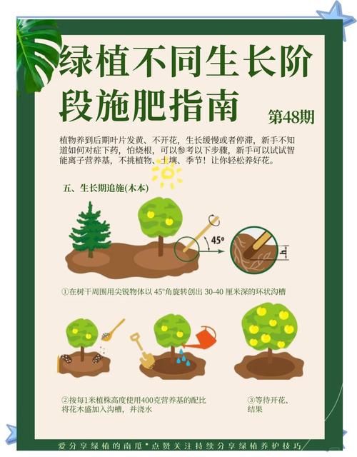 室内绿植施肥：不同植物施肥时间，避免施肥过多烧根​