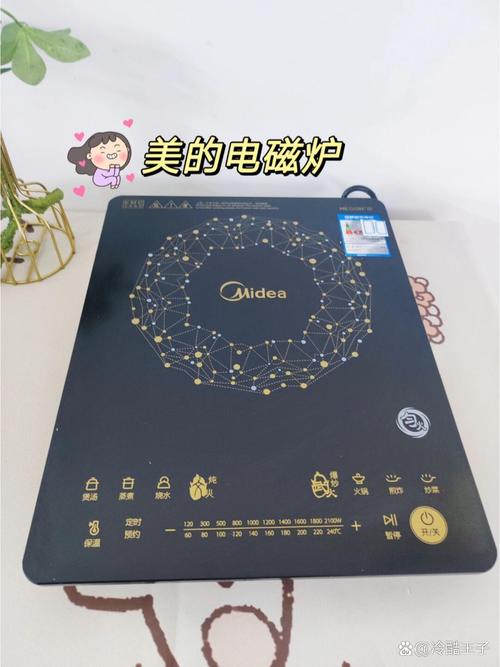 电磁炉使用:锅具选择、面板清洁,避免损坏